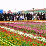 الطائف تعد العدة لإنطلاقة مهرجانها”الورد الطائفي” مطلع رجب