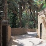 جلسة حوارية تستكشف التاريخ الأثري لدولة الإمارات في ملتقى متحف زايد الوطني