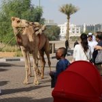 هيئة السياحة تنظم أكثر من 87 رحلة للجنادرية للطلاب ضمن برنامجها ” عيش السعودية “