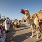 نادي تراث الإمارات يفوز بالفئة المحلية في صون التراث في جائزة الشارقة للتراث الثقافي