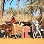 “وندر جاردن” تتميّز بطابعها الخيالي المستوحى من سحر الطبيعة في موسم الرياض 2023