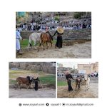 سقوط طائرة في مطار بالجزائر يودي بحياة 4 أشخاص