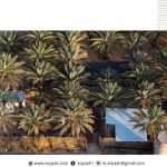 أمير نجران يُدشِّن “مهرجان شرورة الشتوي الثامن” 2026