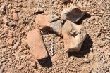 وزارة التراث والثقافة العمانية تكشف عن التنقيبات الأحفورية في منطقة عيدم بظفار