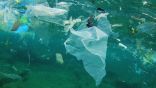 في استطلاع نفذته وزارة البيئة%89 بالمائه صوتوا “لا للأكياس البلاستيكية”