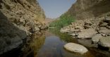 الزيودي والحمادي : يشيدان بتسجيل محمية وادي الوريعة في اليونسكو