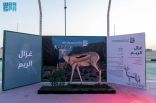 انطلاق مهرجان محمية الملك سلمان بن عبدالعزيز الملكية بالقريات