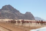 انطلاق سباقات مهرجان الشيخ زايد للهجن العاشر بوادي رم في الأردن
