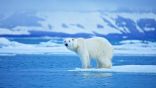 دراسة- البحر الجليدي الشمالي قد يختفي حتى لو حقق العالم أهداف اتفاقية المناخ