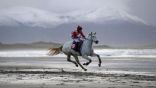 قرية ساحلية بأيرلندا تستضيف سباقات خيول الشاطئ السنوية