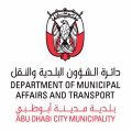 بلدية مدينة أبوظبي تفوز بجائزة أفضل إدارة تقنية لعام 2016
