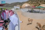 أمير منطقة الباحة يتفقد المواقع السياحية ويطّلع على تجربة “نُزل الكبسولات”
