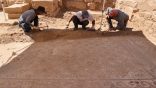 اكتشاف فسيفساء عمرها 1500 عام بولاية ماردين التركية