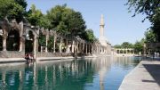 شانلي أورفة التركية.. مدينة السياحة والتاريخ والثقافة
