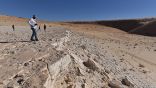 الأوساط البحثية العالمية تتفاعل مع كشف أقدام إنسان في صحراء النفود