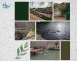 “شعيب غذوانة”.. وجهة سياحية مفتوحة تستقطب الزوّار خلال موسم الصيف