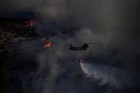 اندلاع حريق غابات بجزيرة كيثيرا اليونانية وإخلاء منازل