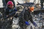 سفن الصيد الصينية تسافر لأبعد مناطق وتصيد أكبر كميات من السمك