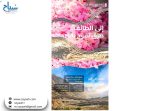 “هيئة الطرق”: الطائف وجهة سياحية رائدة تستقطب الزوار بمعالمها التاريخية وشبكة طرق متطورة