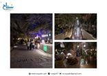 المزارع الريفية في المدينة المنورة.. وجهة صيفية تنعش الأمسيات وتستقطب الأهالي والزوار