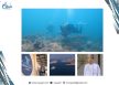 مركز استكشاف مسندم للغوص يحصل على تصنيف (PADI) كمنتجع غوص خمس نجوم