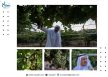 ميسان.. عناقيد العنب تزدهر على سفوح الجبال